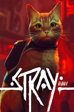 Stray (Direct Play)
