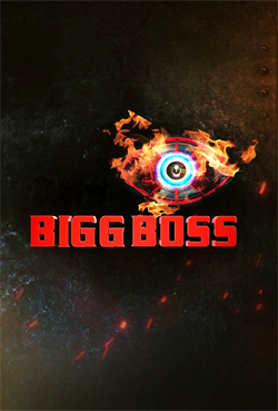 Bigg Boss S09 (Day - 29)